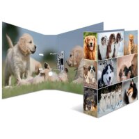 HERMA Motivordner Hunde 7,0 cm DIN A4