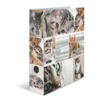 HERMA Motivordner Katzen 7,0 cm DIN A4