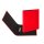 PAGNA Basic Ringbuch 2-Ringe rot DIN A4