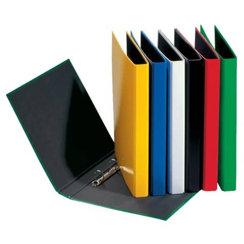 PAGNA Ringbuch Basic Colours - A5, 2-Bügel-Mechanik, Ring-Ø 25mm, farbig sortiert, 12 Stück