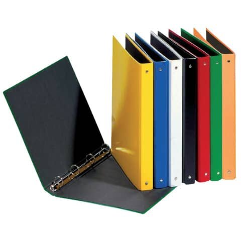 PAGNA Ringbuch Basic Colours - A5, 4-Ring, Ring-Ø 25mm, farbig sortiert, 12 Stück
