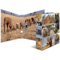 HERMA Motivordner Afrika Tiere 7,0 cm DIN A4