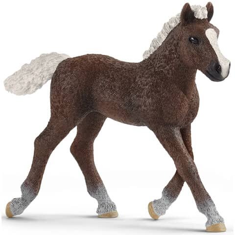 SCHLEICH Spielzeugfigur Schwarzwälder Fohlen