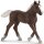 SCHLEICH Spielzeugfigur Schwarzwälder Fohlen