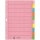 LEITZ 4340 Register - blanko, Papier, A4, 10 Blatt, Taben 2x 5-farbig
