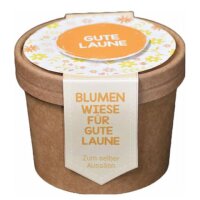 WUNDERLE Blumenwiese zum Aussäen "Gute...