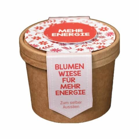 WUNDERLE Blumenwiese zum Aussäen "Energie" - Saatgut rot, Becher Ø 9,8 x 7 cm