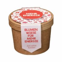 WUNDERLE Blumenwiese zum Aussäen "Energie"...