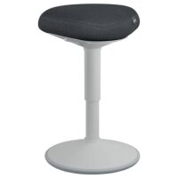 LEITZ Hocker Ergo Active 65440085 grau