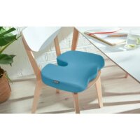 LEITZ Sitzkissen Ergo Cosy blau 45,5 x 35,5 cm